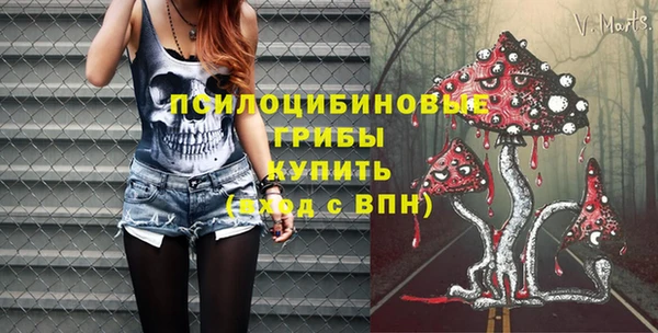 стафф Сосновый Бор