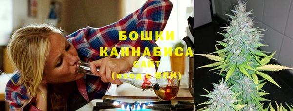 гидропоника Строитель