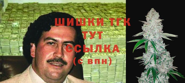 стаф Белокуриха