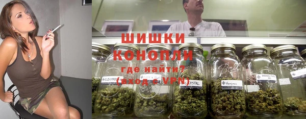стаф Белокуриха