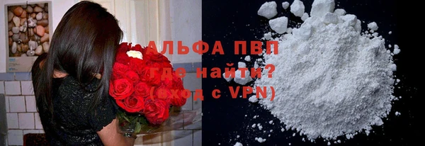 стаф Белокуриха