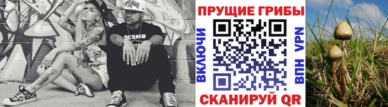 Псилоцибиновые грибы мицелий  Красновишерск 